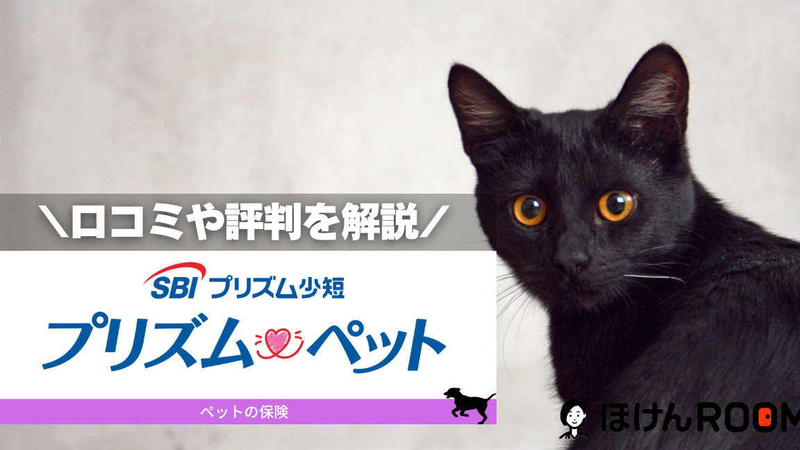 ペット保険Prismが契約可能な動物はどれ？詳細解説